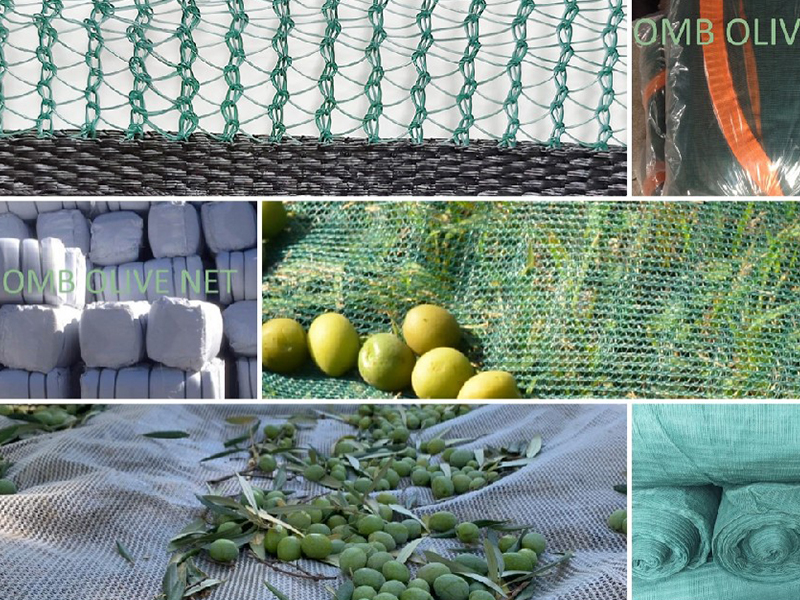 Boost your olive harvest with high-quality olive netting from OMB Textile