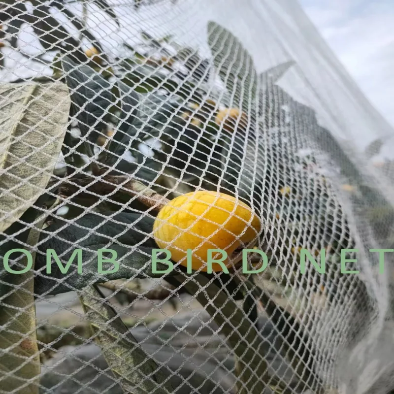 Bird protection net for orchards and vineyards